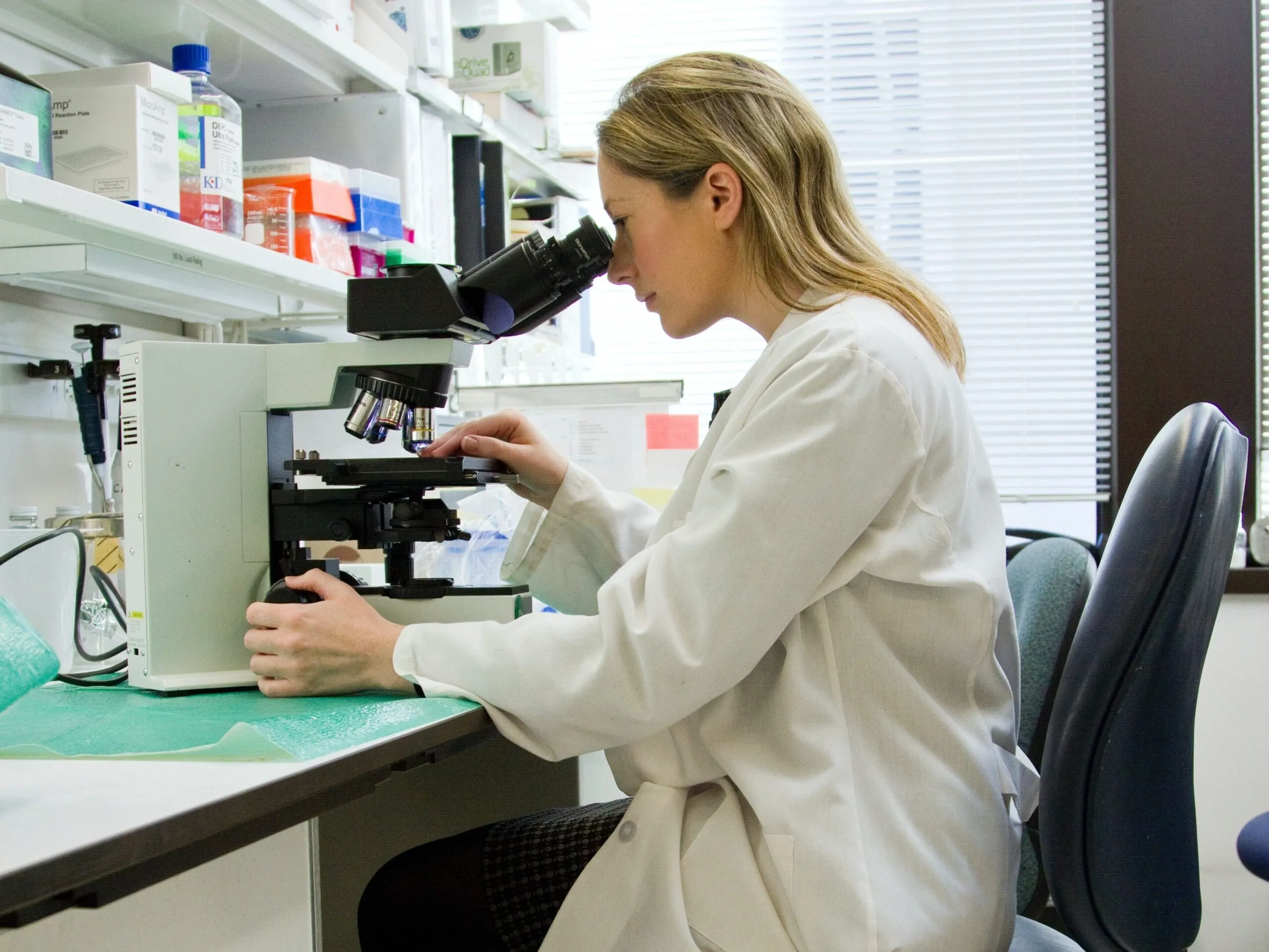 A scientist examining samples in a research laboratory.